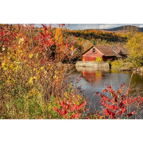 Jones, Allison 아티스트의 USA-Vermont-Moscow-mill on Little River pond there-fall foliage작품입니다.